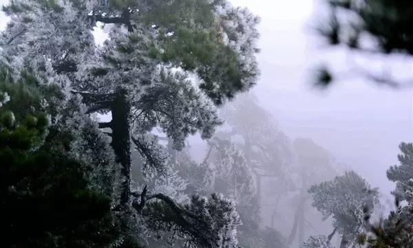 最近有什么很好看的电影吗游戏画面