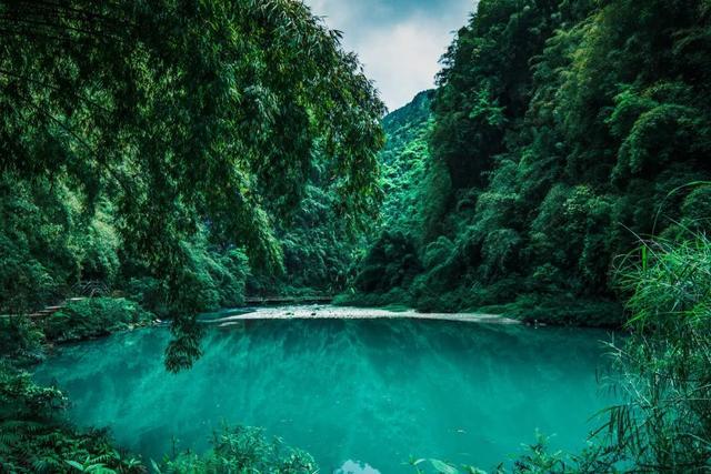 蝙蝠侠：阿甘之城