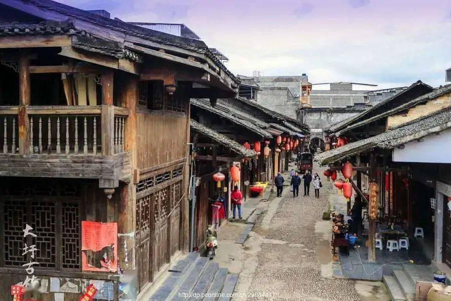 袋鼠逃生